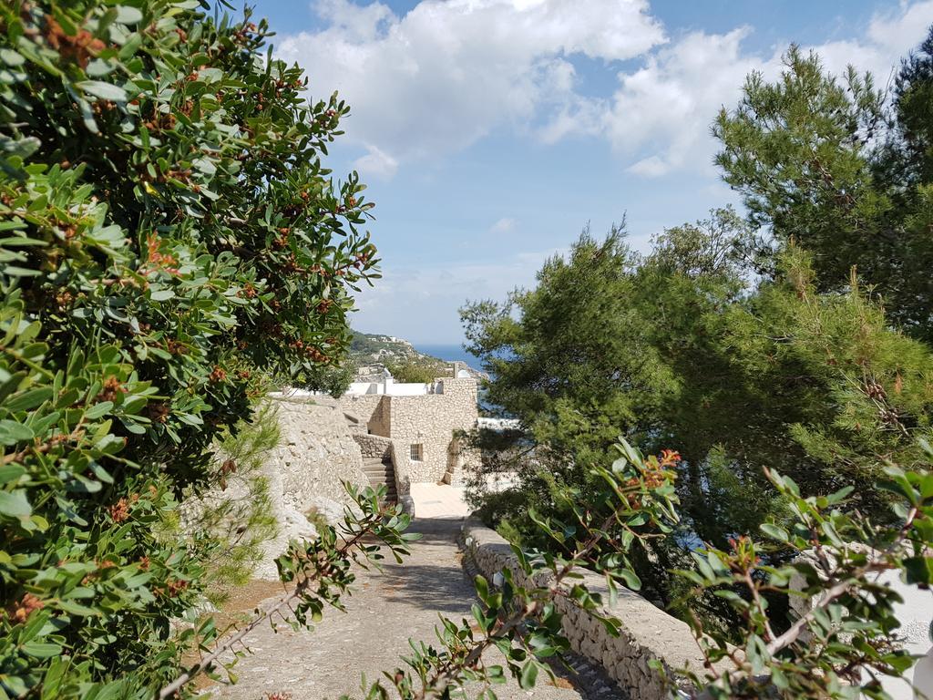 גאליאנו דל קאפו Villa Bocca Del Pozzo מראה חיצוני תמונה