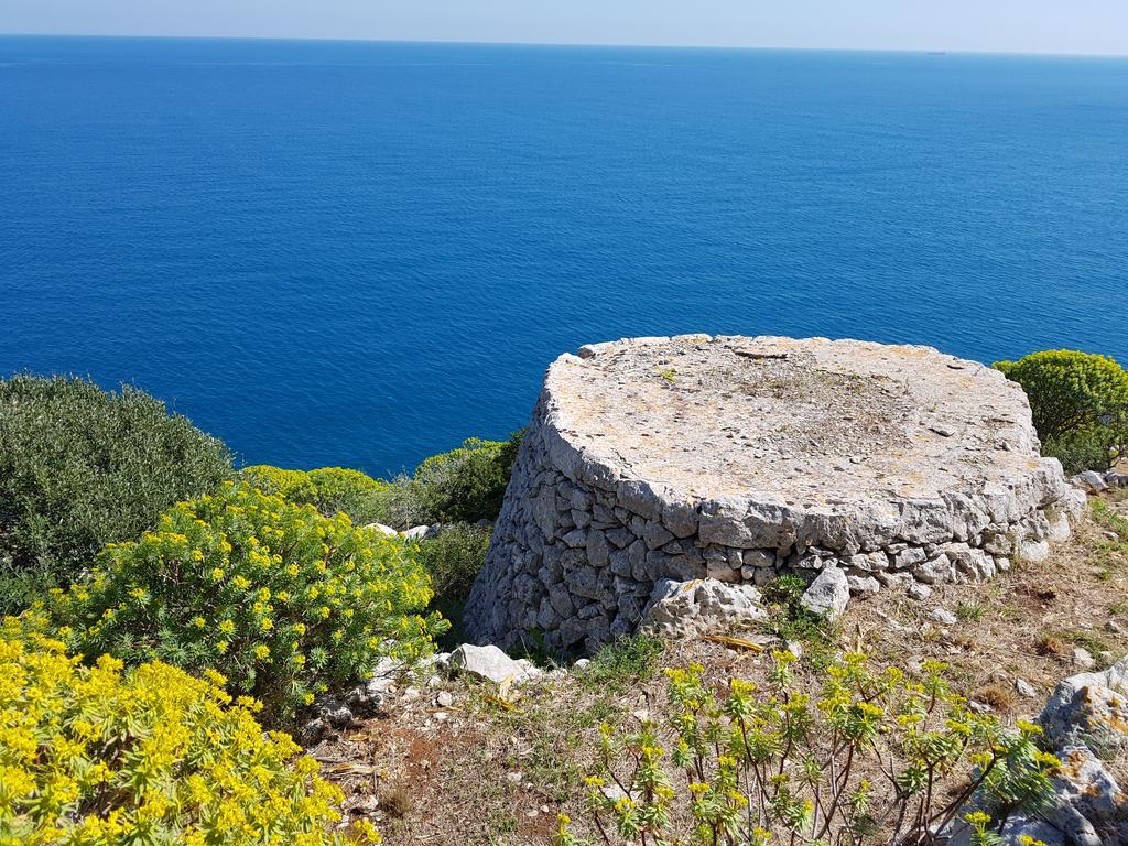 גאליאנו דל קאפו Villa Bocca Del Pozzo מראה חיצוני תמונה