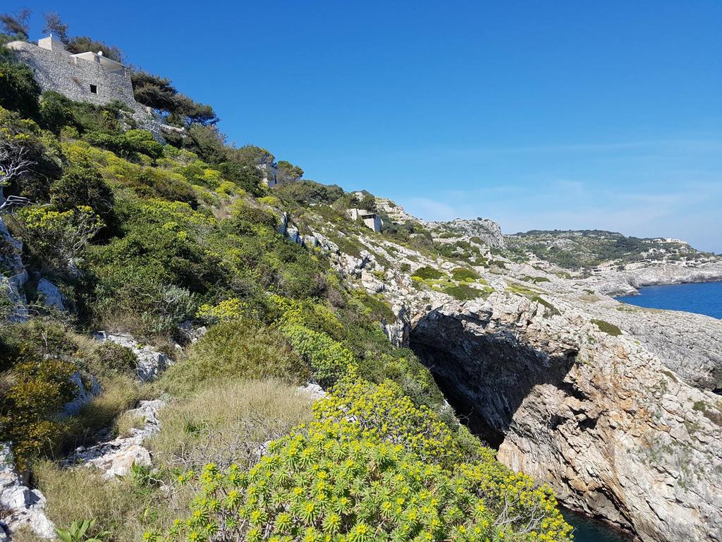 גאליאנו דל קאפו Villa Bocca Del Pozzo מראה חיצוני תמונה