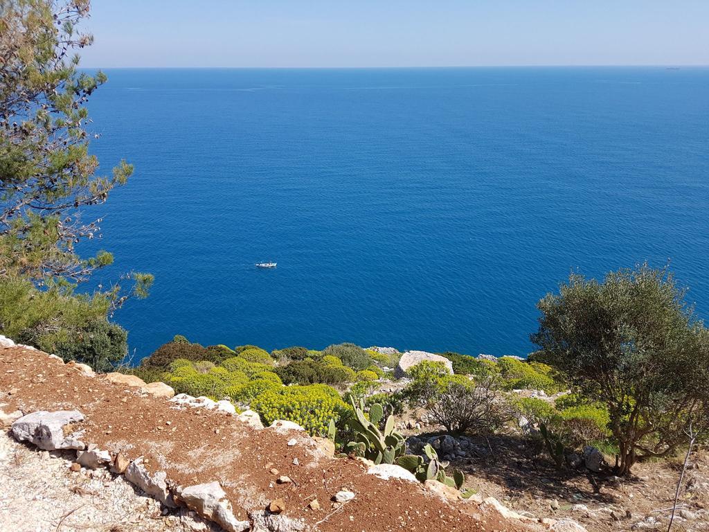 גאליאנו דל קאפו Villa Bocca Del Pozzo מראה חיצוני תמונה